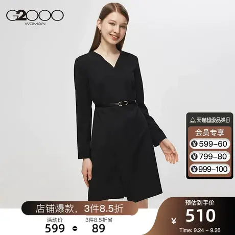 G2000女装商场新款2023年秋冬新款V领收腰通勤女士连衣裙配腰带图片